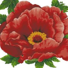 Схема вышивки «Роза»