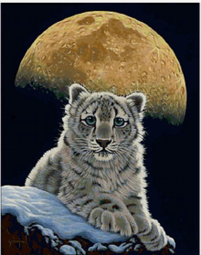 Тигренок - хищник, космос, животные, тигренок, красота, тигр - предпросмотр