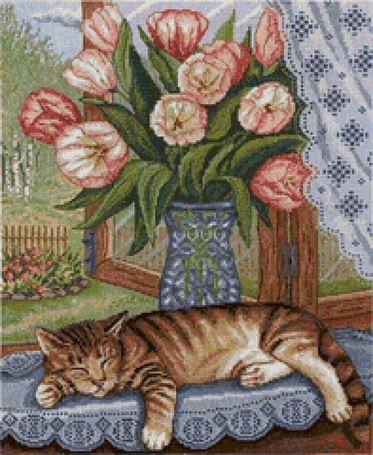 Кошка на окне - природа, красота, цветы, окно, кошка, животные - предпросмотр