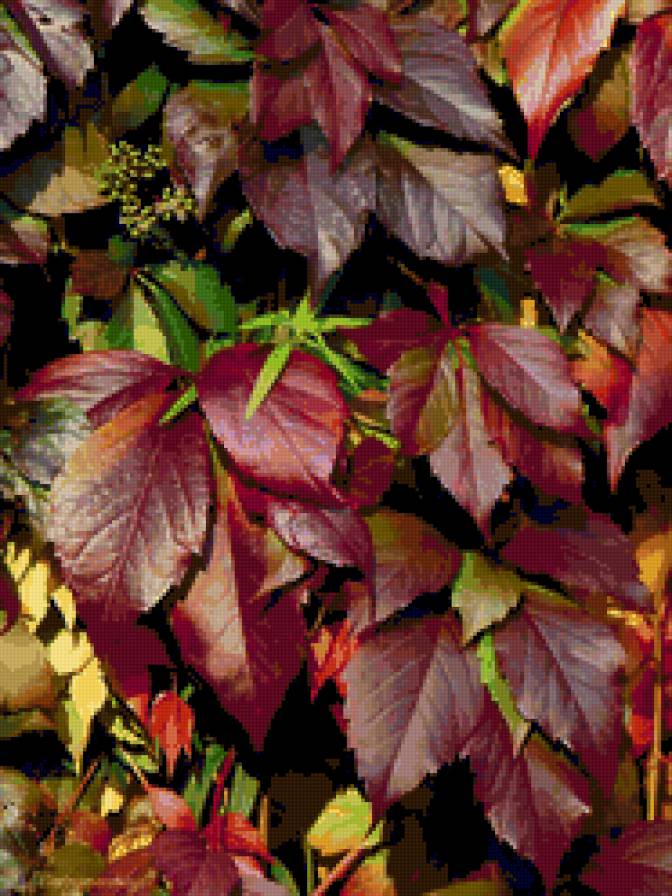 Краски осени - природа - предпросмотр