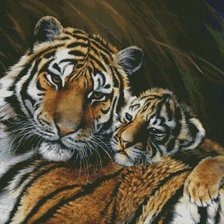 Схема вышивки «Тигрица с малышом»