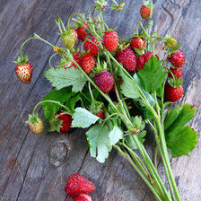 Схема вышивки «Земляника»