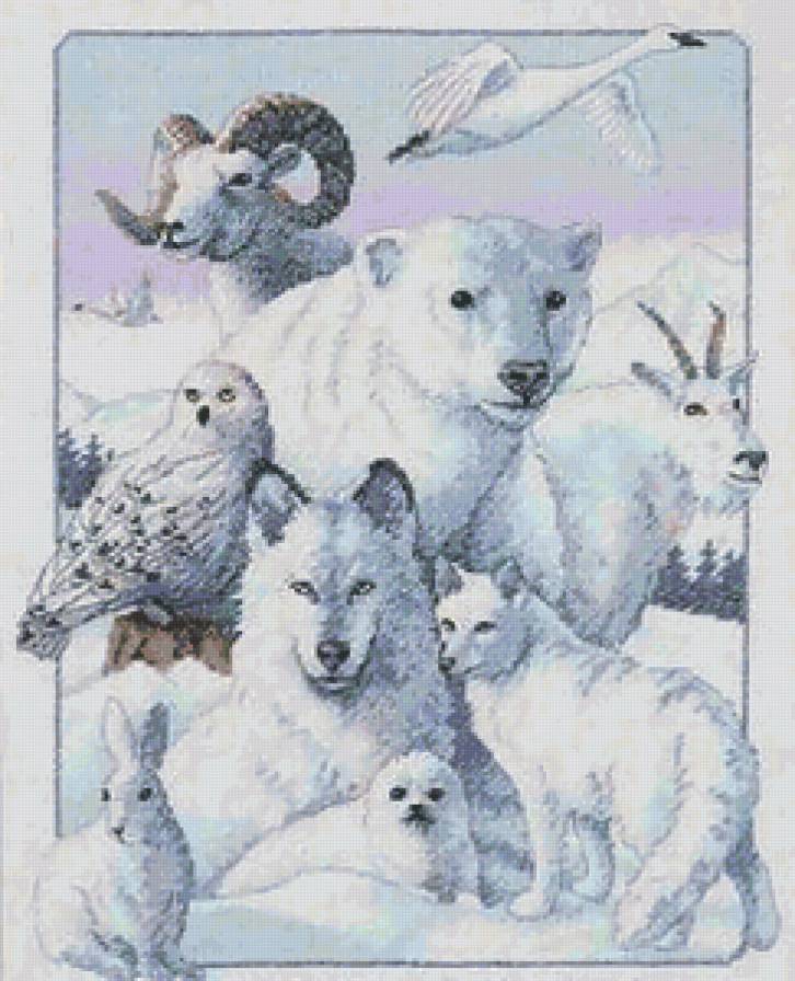 Северные звери - лебедь, коза, животные, птица, сова, медведь, волк, тюлень - предпросмотр