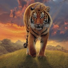 Затмил солнце