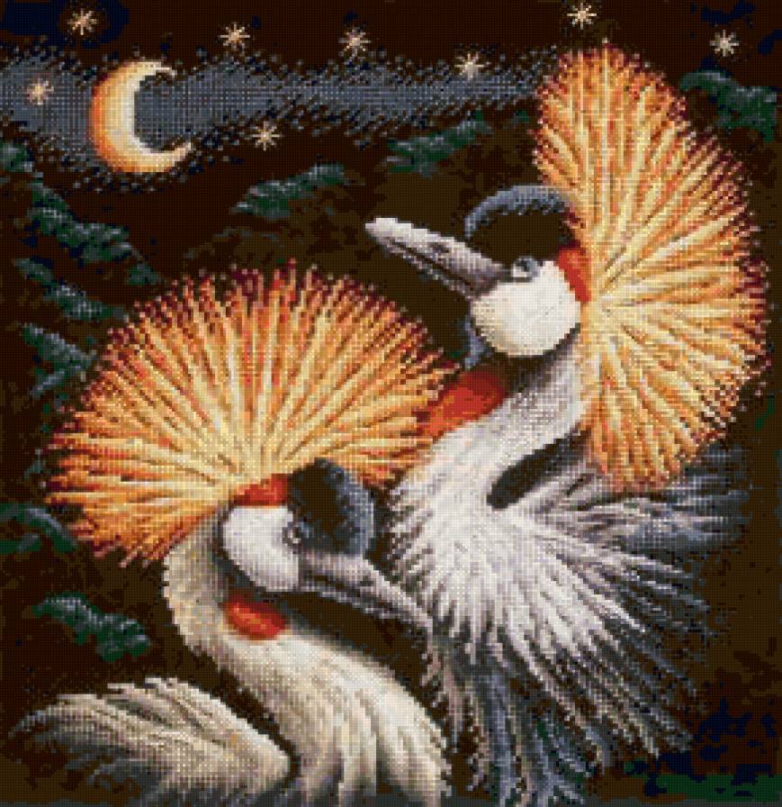 Серенада - птицы, луна, ночь - предпросмотр