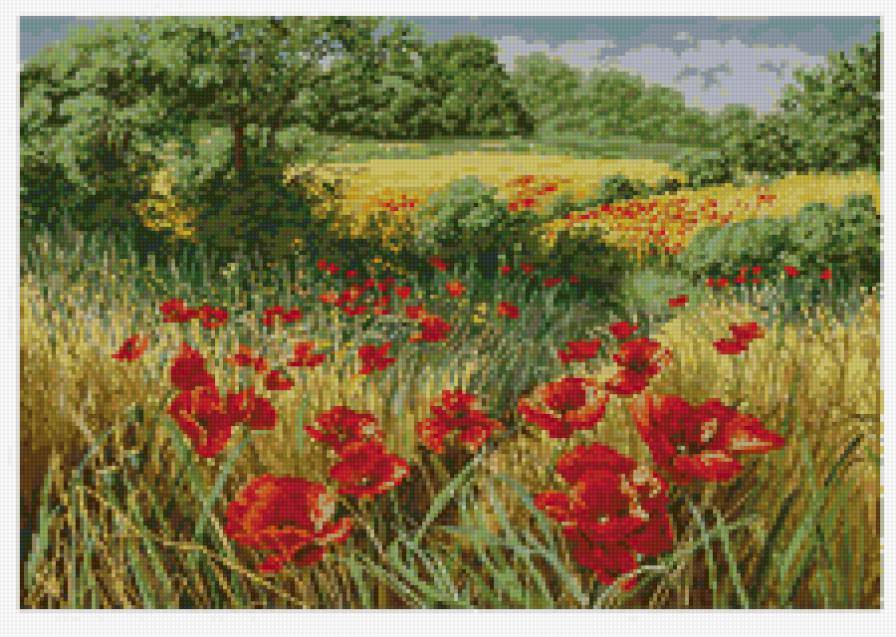 Природа - красота, пейзаж, цветы, природа - предпросмотр