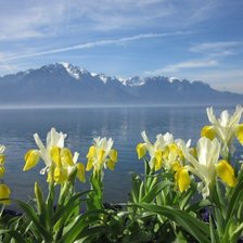 Схема вышивки «озеро»