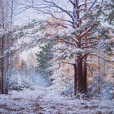 Схема вышивки «Зима»