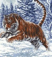 Схема вышивки «тигруля»