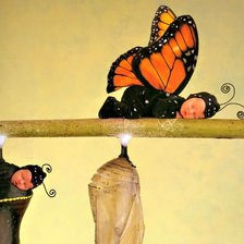 Схема вышивки «бабочка»