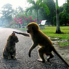 Схема вышивки «знакомство»