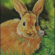 Схема вышивки «Зайчик»