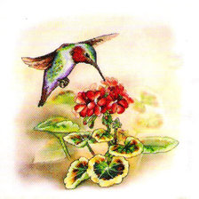 Схема вышивки «коллибри»