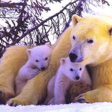 Схема вышивки «семья»