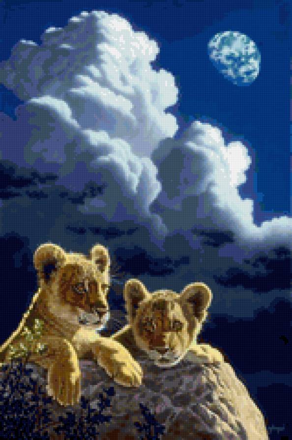 Львята - львенок, хищник, животные, лев - предпросмотр