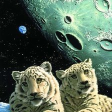 Барсы на краю Вселенной