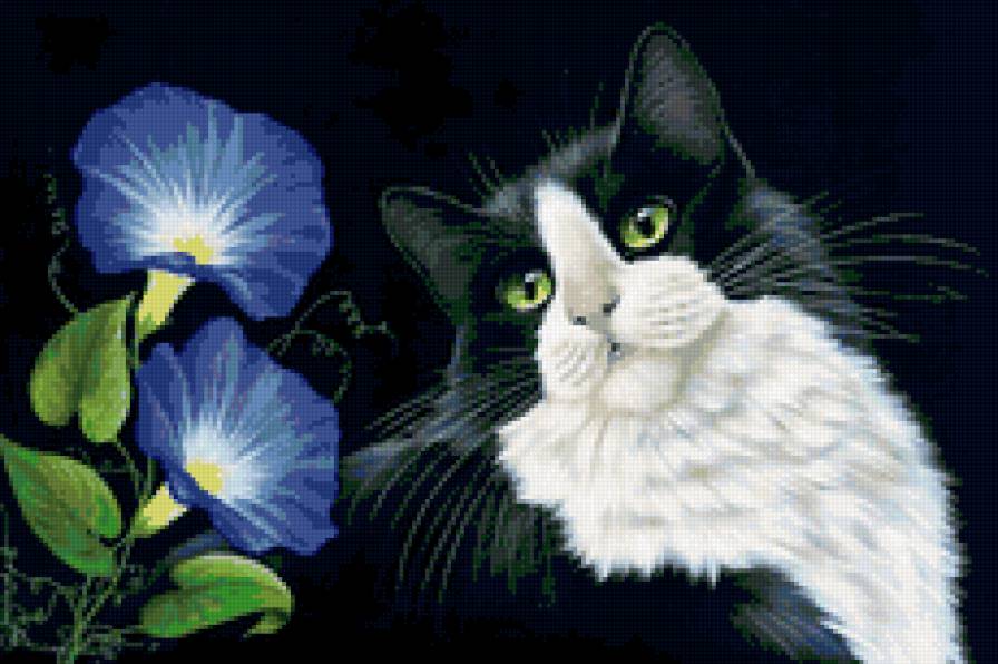 Котик и цветы - животные, котенок, цветы, кошка - предпросмотр