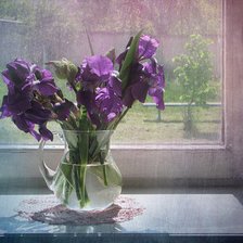 Схема вышивки «ирисы»