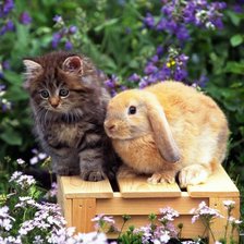 Схема вышивки «№70773»