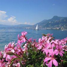 Схема вышивки «озеро»