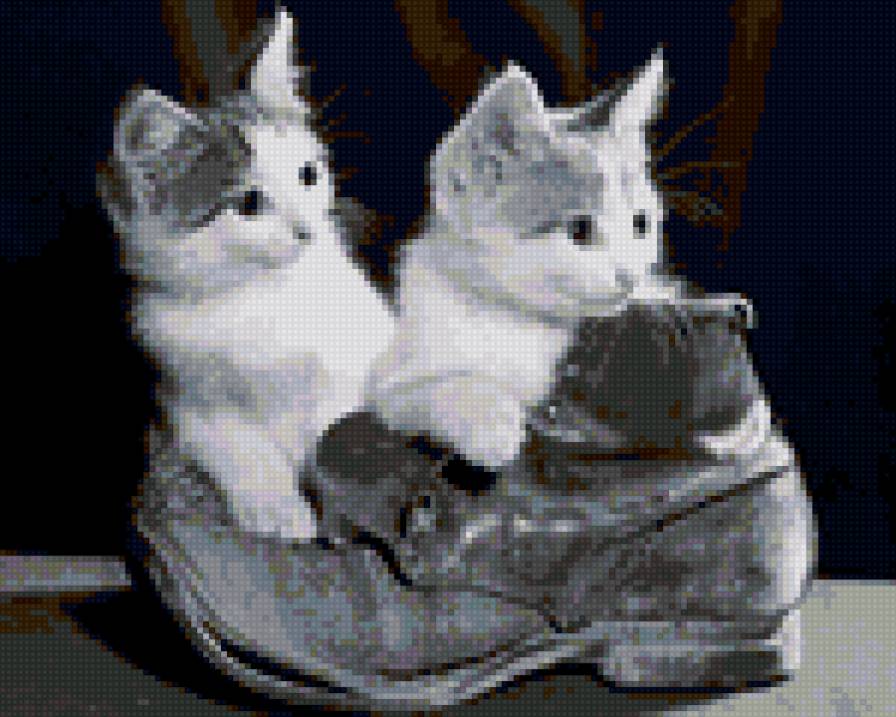 котята в ботинке - кошки - предпросмотр