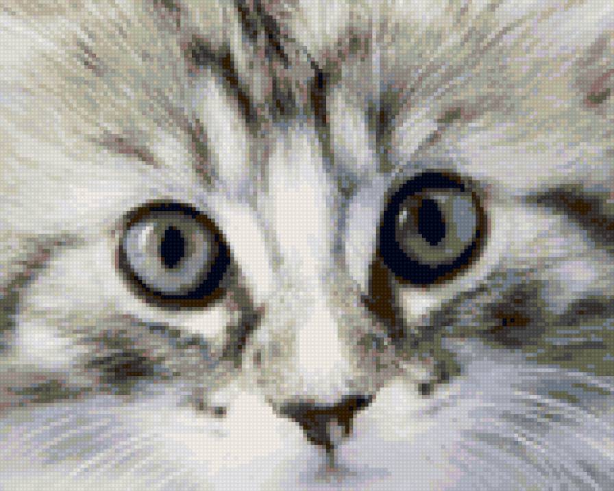 котёнок - кошки - предпросмотр