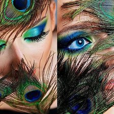 Схема вышивки «павлин»