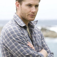 Схема вышивки «Дженсон Эклз»