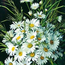 Схема вышивки «Ромашки»