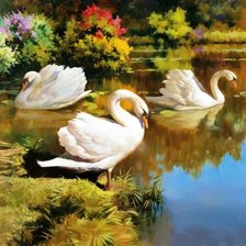 лебеди на озере