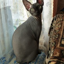 Схема вышивки «Масик»