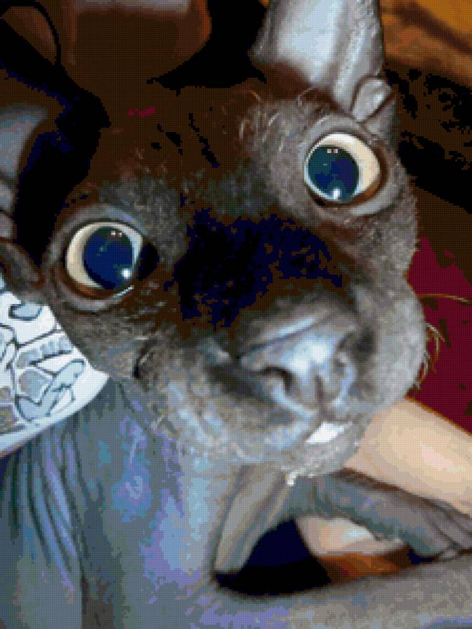 Любопытство - предпросмотр