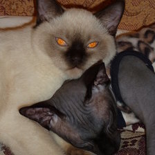 Схема вышивки «наши дети»