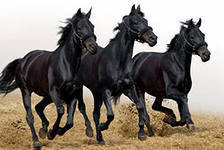 Схема вышивки «кони»