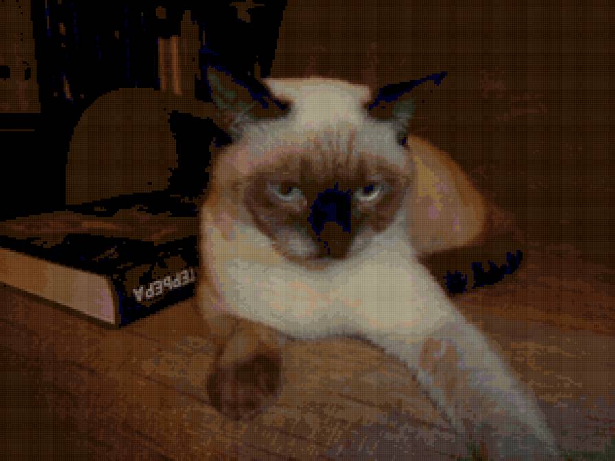 Беник 4 - предпросмотр