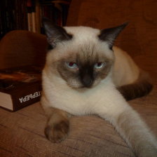 Схема вышивки «Беник 4»