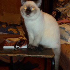 Схема вышивки «Беник 5»