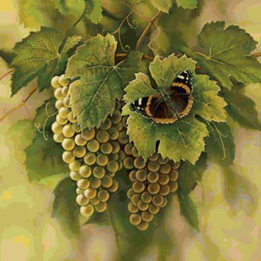 виноград - виноград - предпросмотр