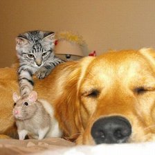 Схема вышивки «Друзья»