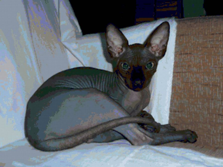 Масик 2 - предпросмотр