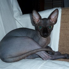 Схема вышивки «Масик 2»