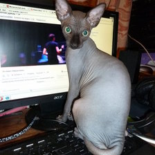 Схема вышивки «Масик 3»