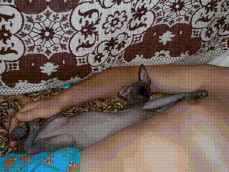 Масик 4 - предпросмотр