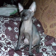 Схема вышивки «Масик 6»