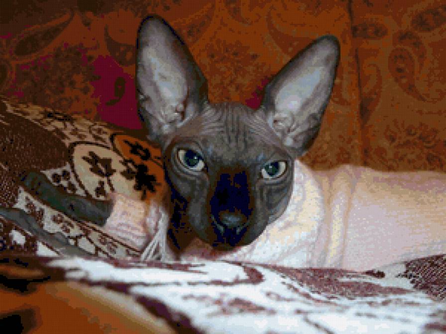 Масик 9 - предпросмотр