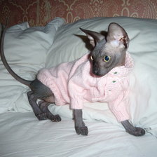 Схема вышивки «Масик 10»