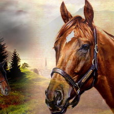 Схема вышивки «КОНИ»