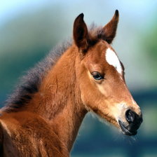 Схема вышивки «малыш»