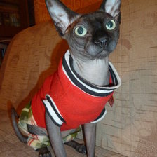 Схема вышивки «модник»