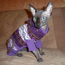 Схема вышивки «модник 2»